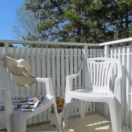 Near The And Thermal Area *