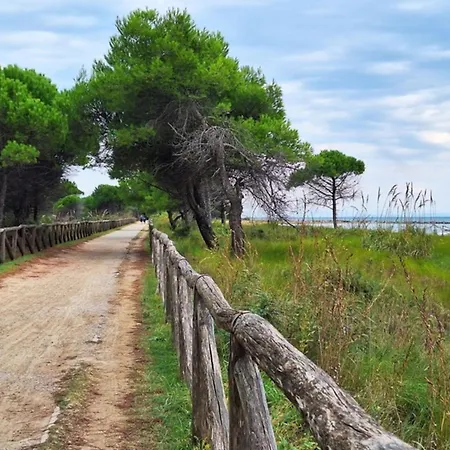 Near The And Thermal Area 比比翁