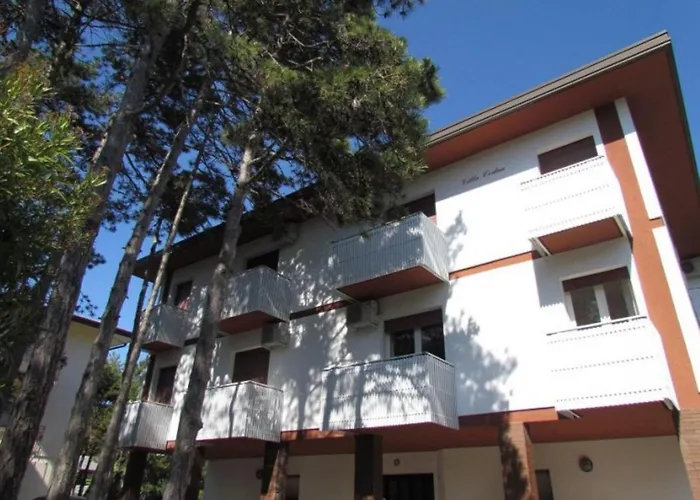 Near The And Thermal Area *