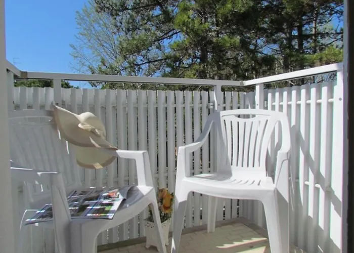 Near The And Thermal Area