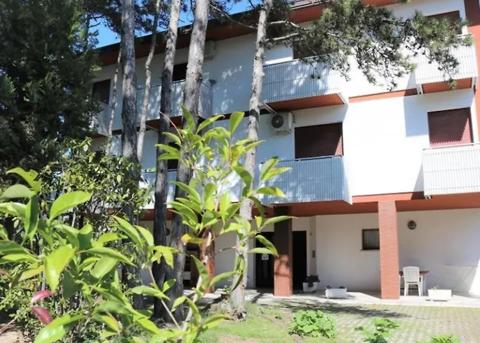 Near The And Thermal Area * 비비오네