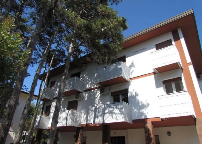 Near The And Thermal Area